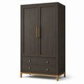 Moderner Kleiderschrank mit 2 Türen und 2 Schubladen, Dunkelbraun/Goldfarben, 100 × 55 × 190 cm